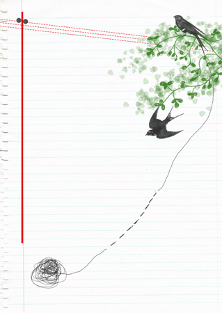 beautybird illustration